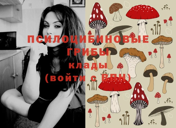 не бодяженный Алексин